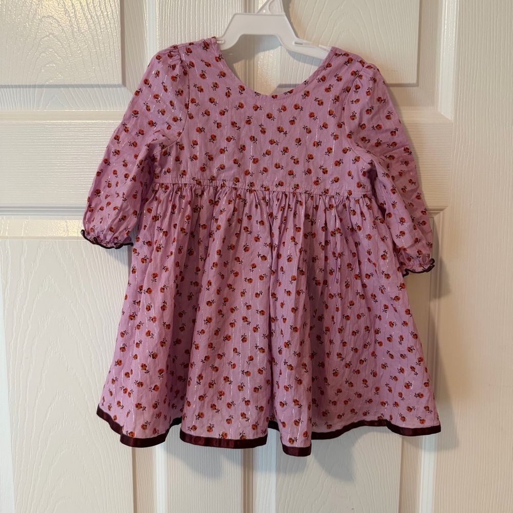 Pink Chicken Floral Baby Dress with Burgundy Trim